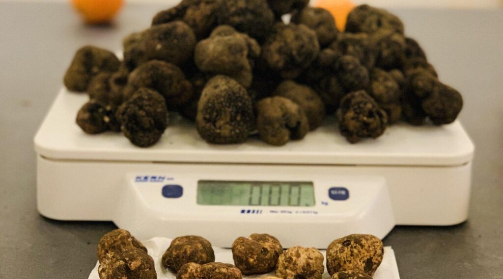 A15B1930-1D47-4DC8-93A9-6176C8595474_1_201_a