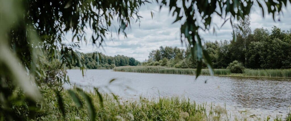 BH9A8731_Evelin_Lumi