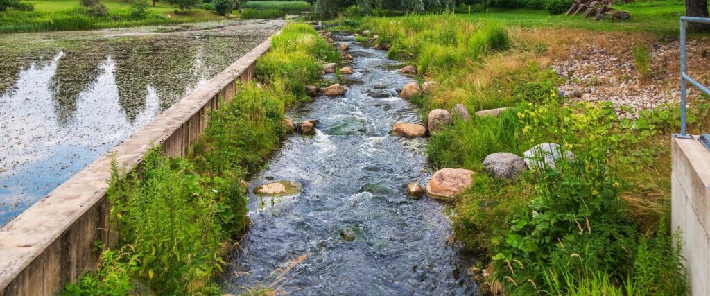 Elva-river-visit-Elva