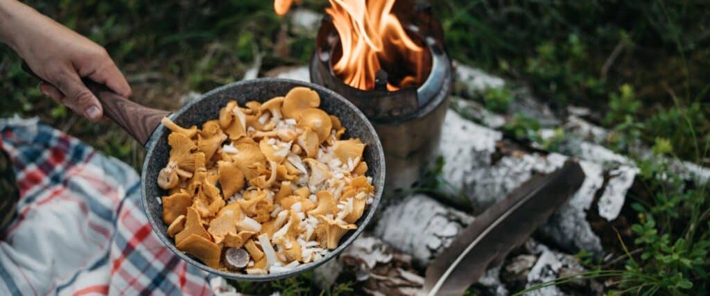 Emajoe-Suursoo-bog-hiking-visit-estonia8