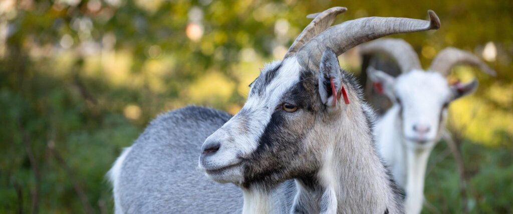 Estonian-Agricultural-Museum-coat-visitestonia-visittartu-family