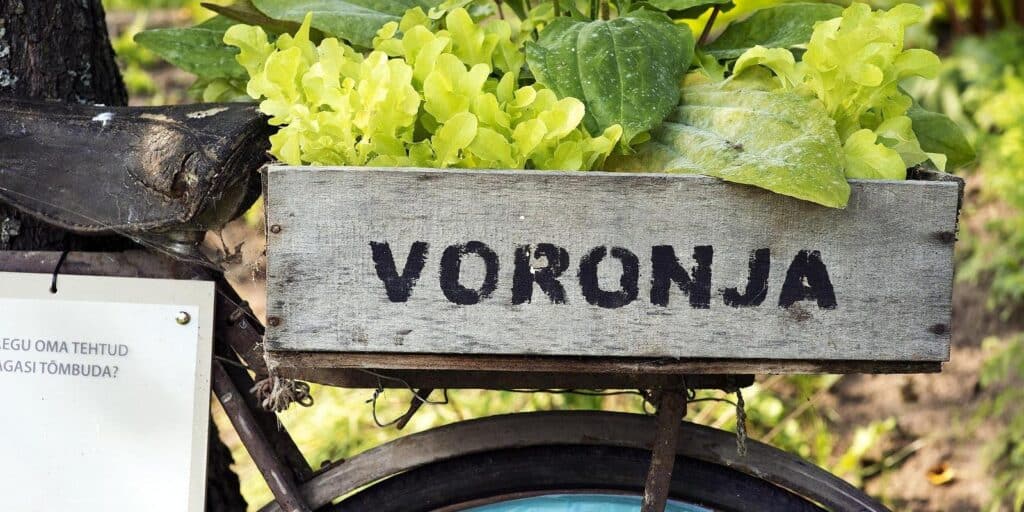 Gallery-Voronja-the-onion-route-visitestonia-visittartu-11