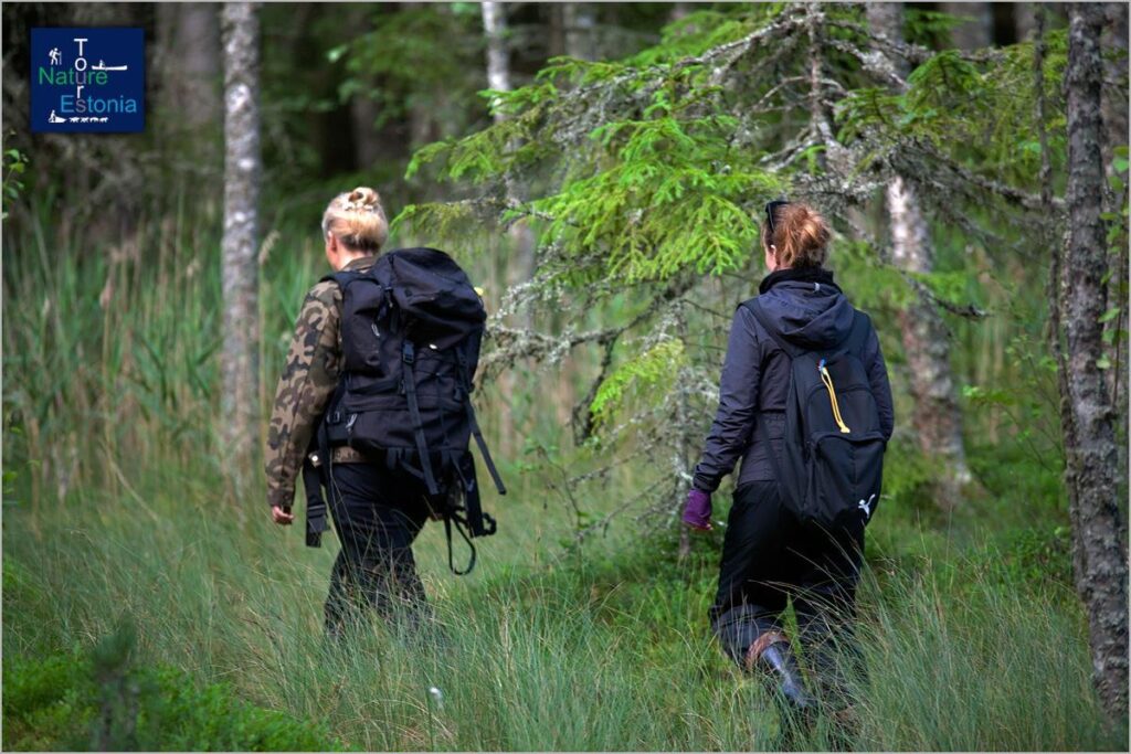Going-to-foraging_visit-estonia