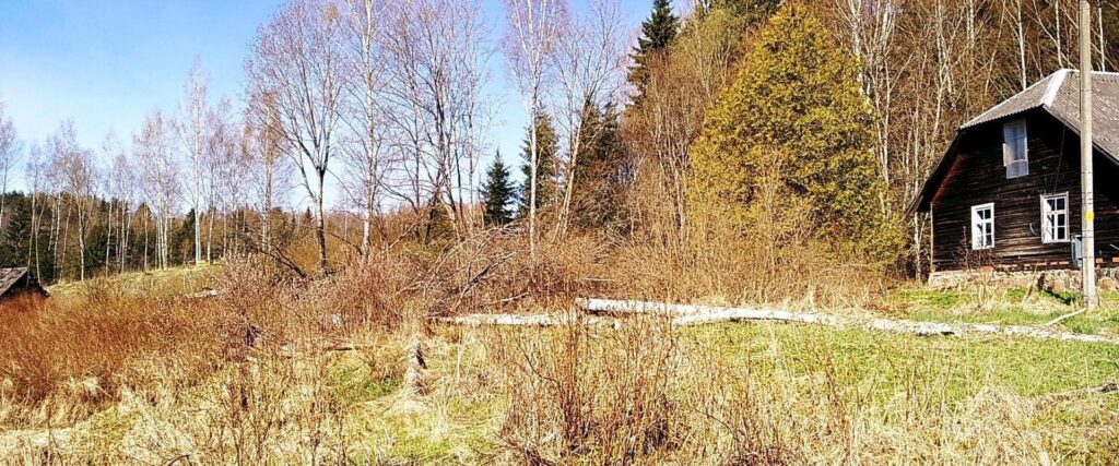 IMG_20210502_093402_HDR