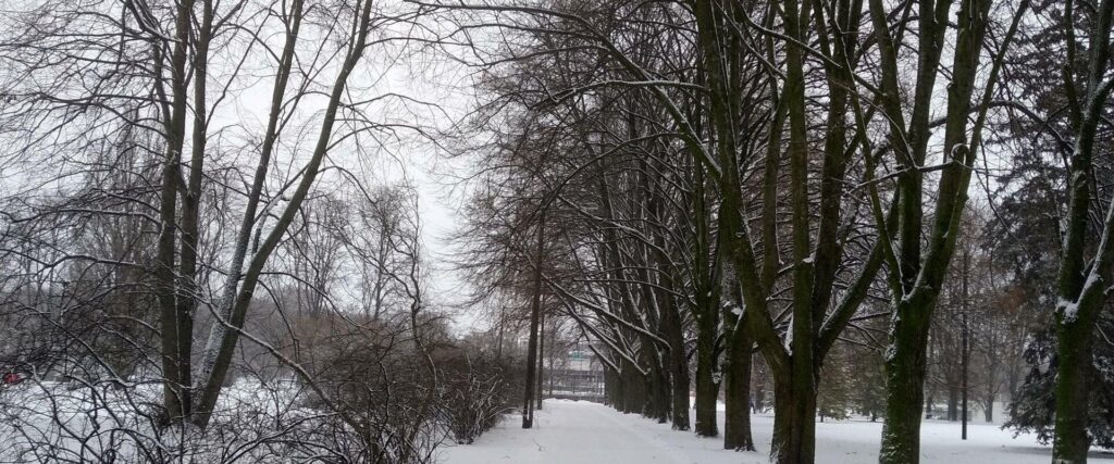 IMG_20220121_104131_HDR