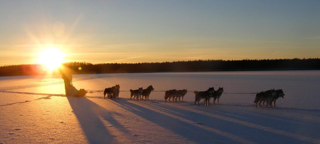 Karusaare-kelgukoeramatkad-1