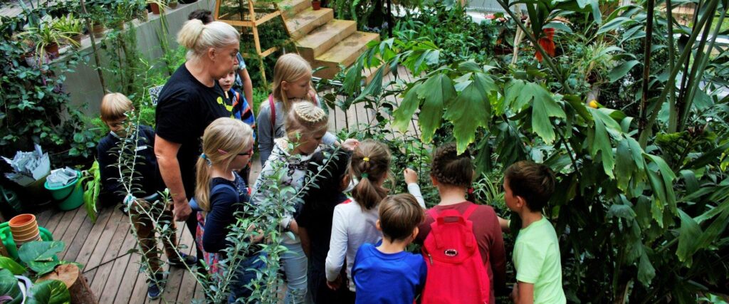 Koduka-pilt-Signega-1