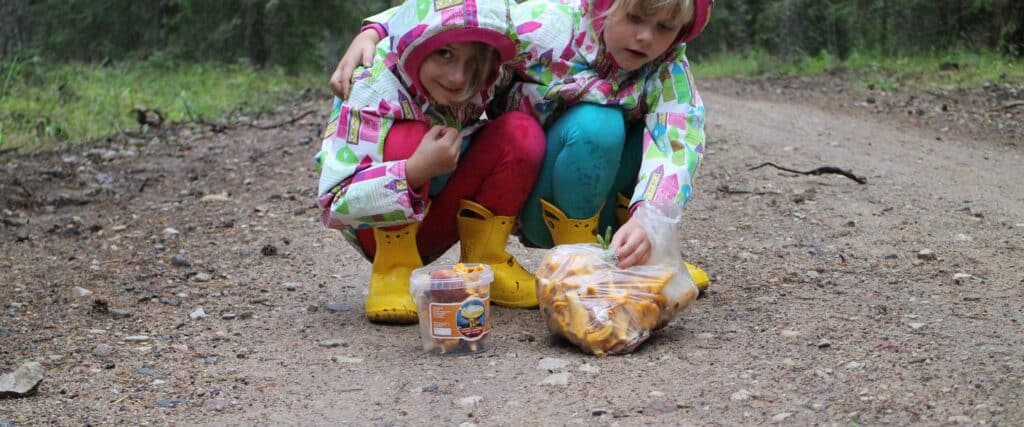 Mushrooming_visit-estonia