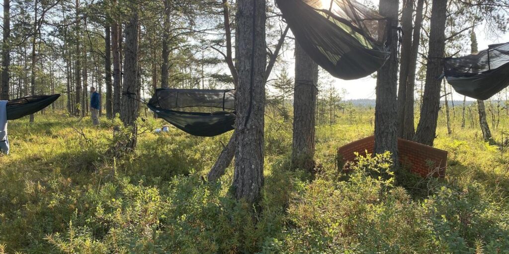 Nature-Tours-Estonia-hiking-accommodation-in-bog-visitestonia-visittartu-2