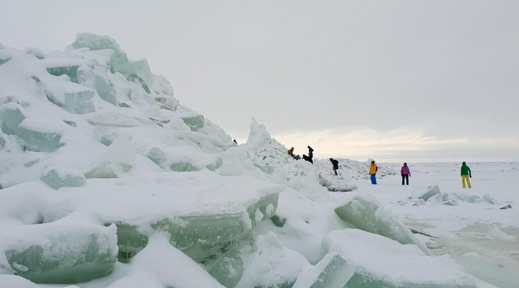 Nina-jaamaed-Sibulateel