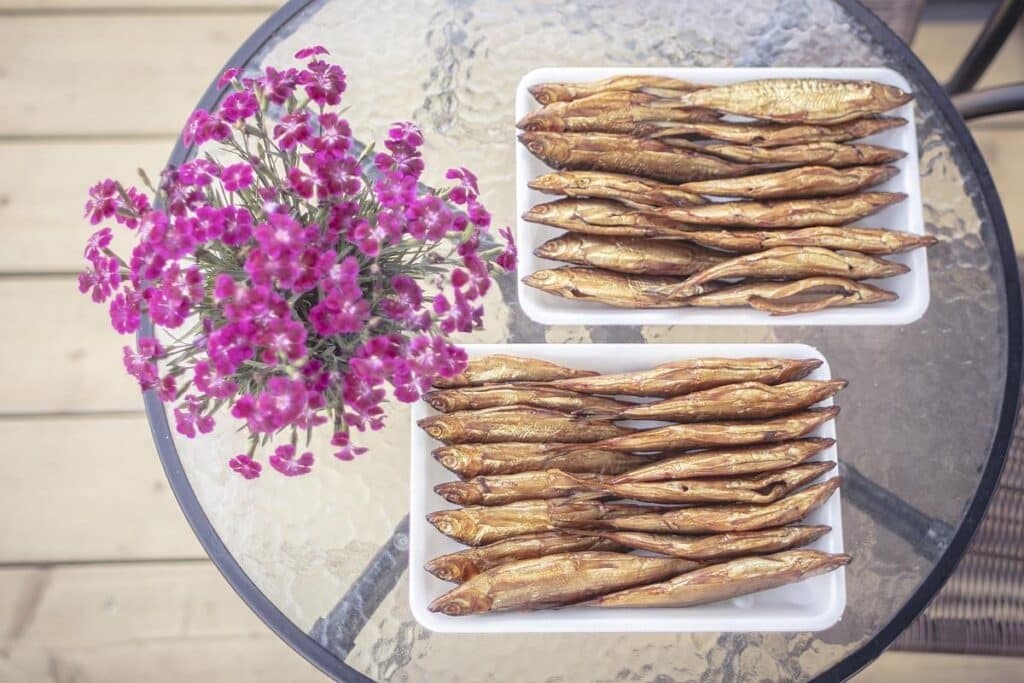 Peipsi-kalapunkt-visitestonia-visittartu-2