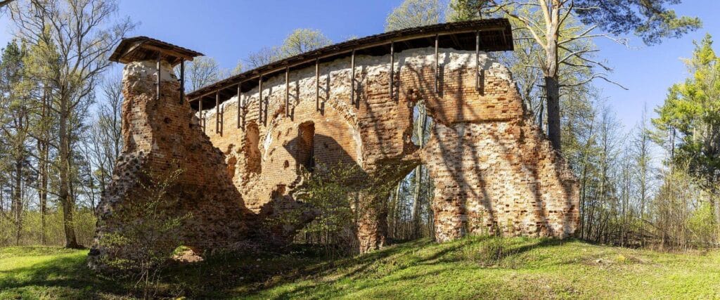 Rongu-vsall-linnus-1-M.Horak_