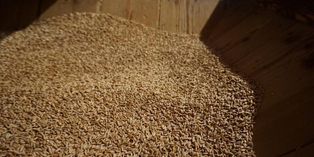 Rye-Hellenurme-Mill-Museum-visitestonia-visittartu