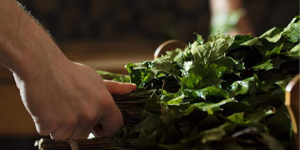 Birch whisk in a sauna ritual