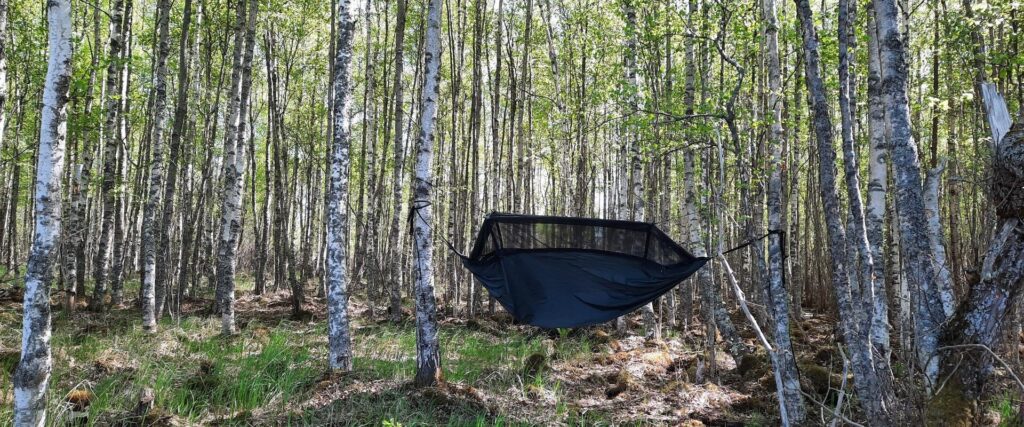 Siesta-Akali-kaasikus