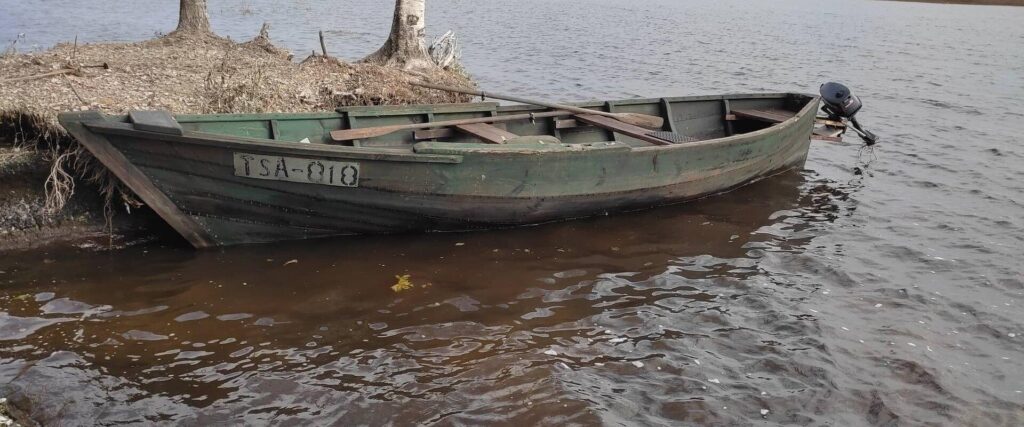 Soo-safari-kormoranide-maal