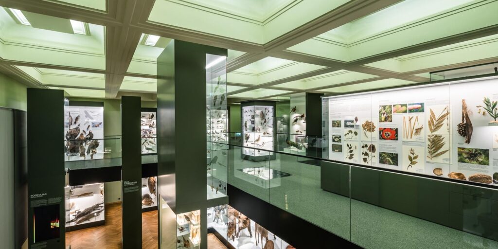 TonuTunnel.com_KOKO_TULM_TT88260