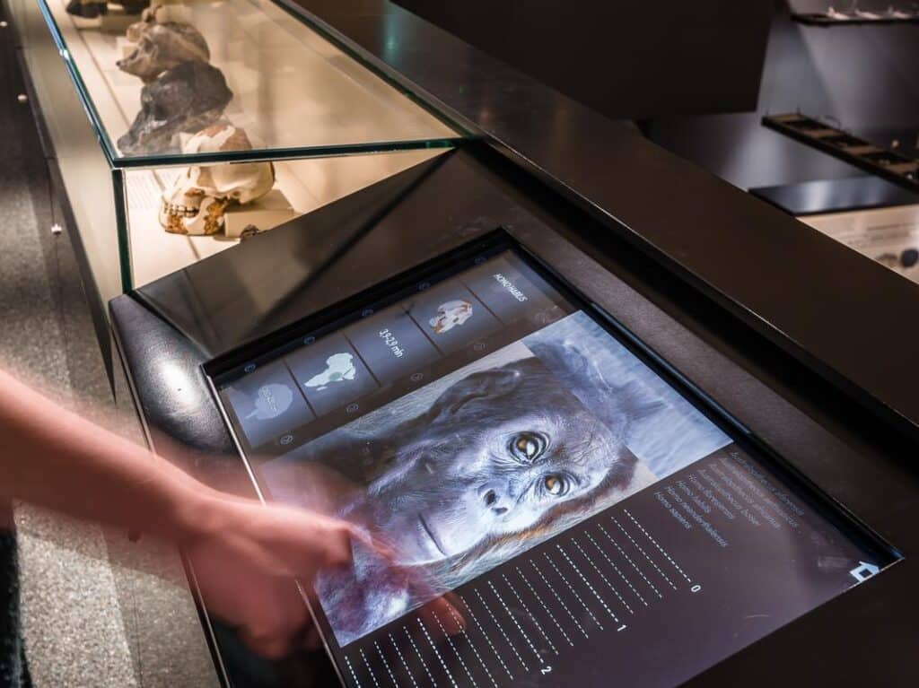 TonuTunnel.com_KOKO_TULM_TT88296