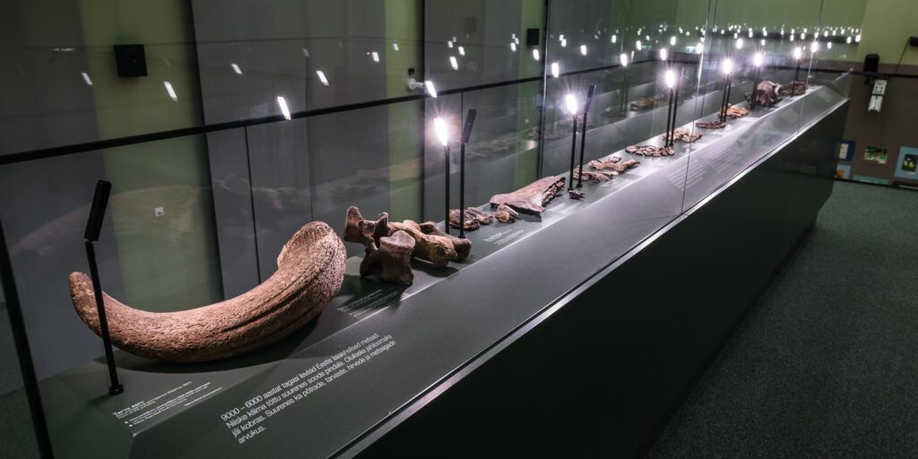 TonuTunnel.com_KOKO_TULM_TT88314