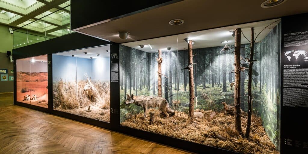 TonuTunnel.com_KOKO_TULM_TT88318