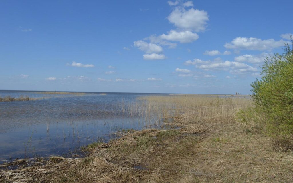 Trepimae-beach-visit-Elva