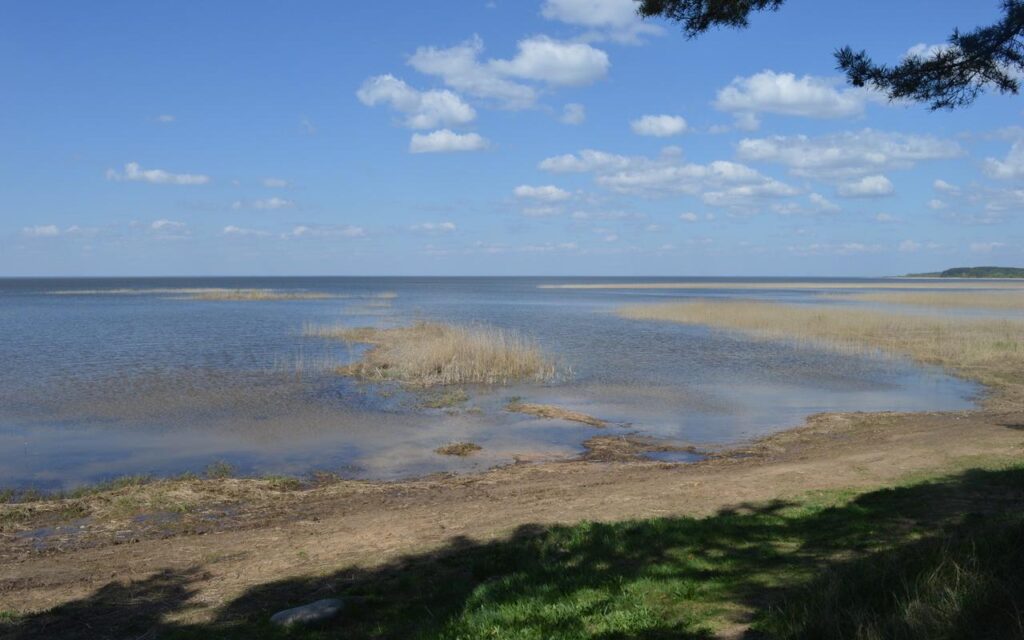 Trepimae-beach-visit-Estonia-vist-Elva