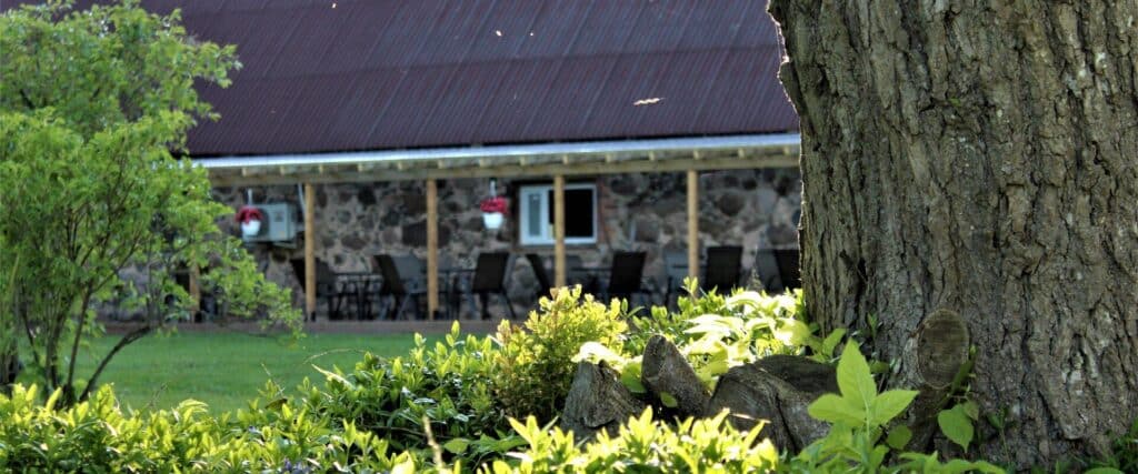 Veinitalu_veiniterrass_kaugelt