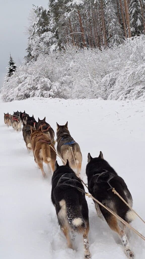 VideoCapture_20231124-205404