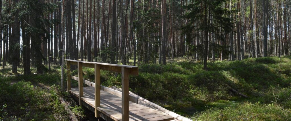 Wooden-bridge-Mustjarv-visitelva