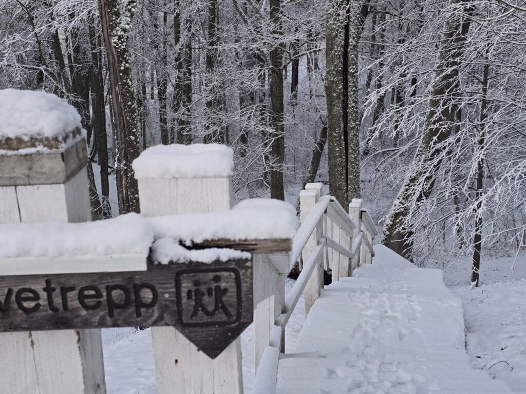 alatskivi-park-007-visit-estonia-17