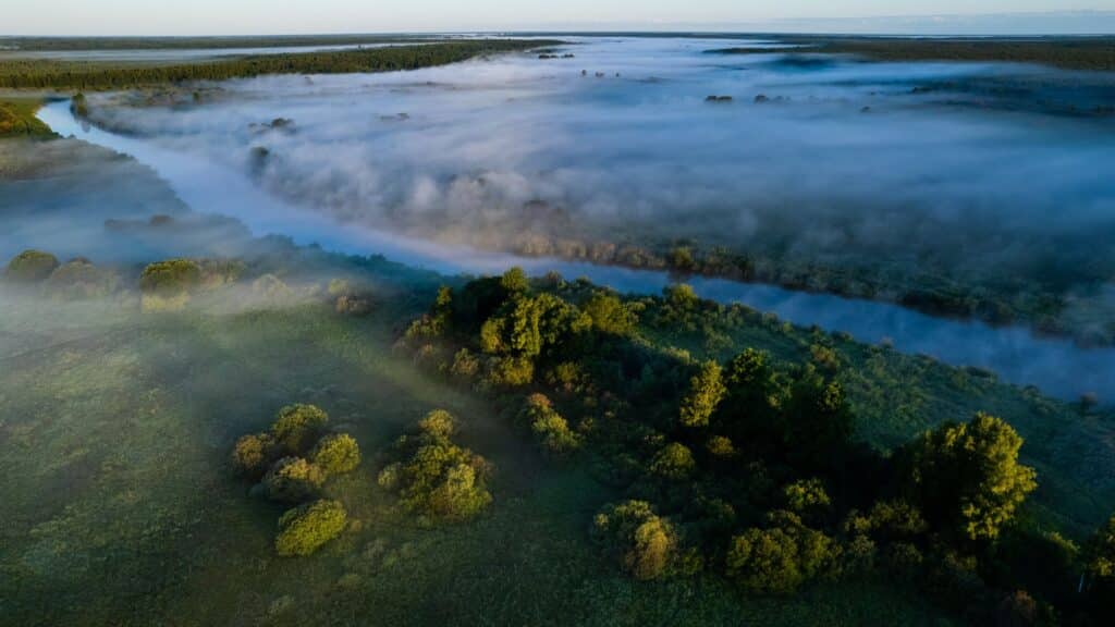 elamused-emajoel-ja-emajoe-suursoos-joesviidil-vidiitestonia-014-visit-estonia