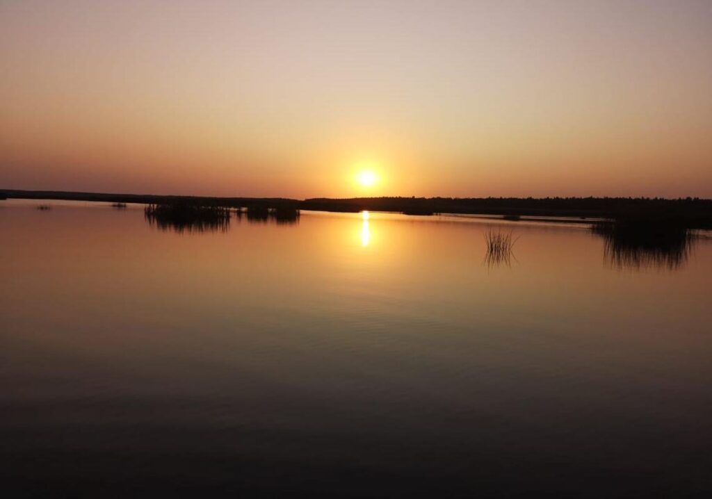 elamused-emajoel-ja-emajoe-suursoos-joesviidil-vidiitestonia-015-visit-estonia