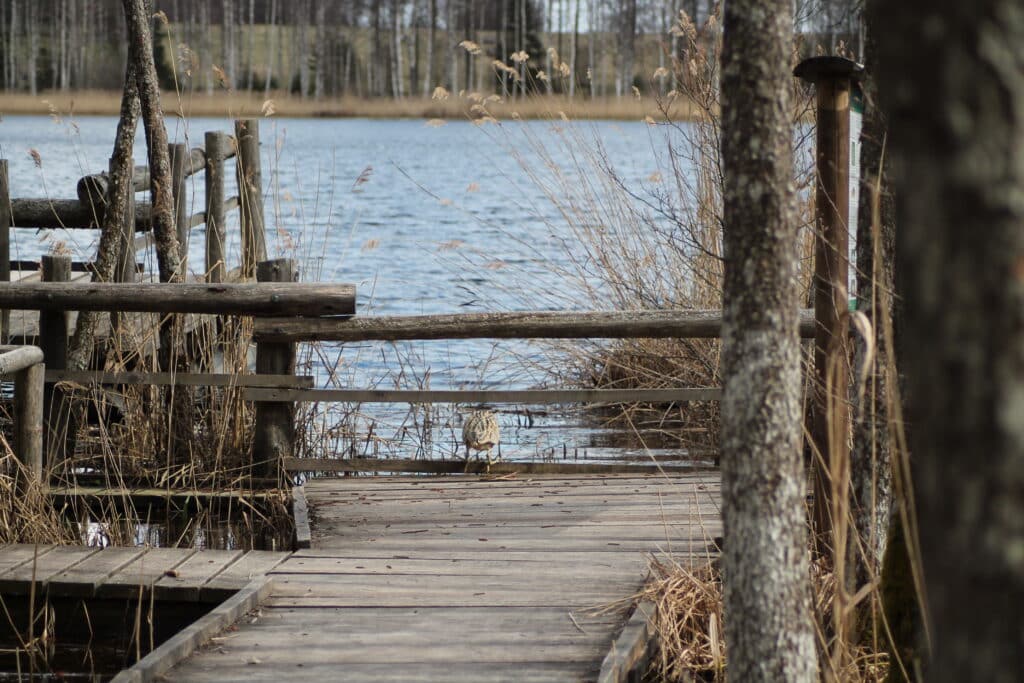 elistvere-loomapark-015-visit-estonia-2