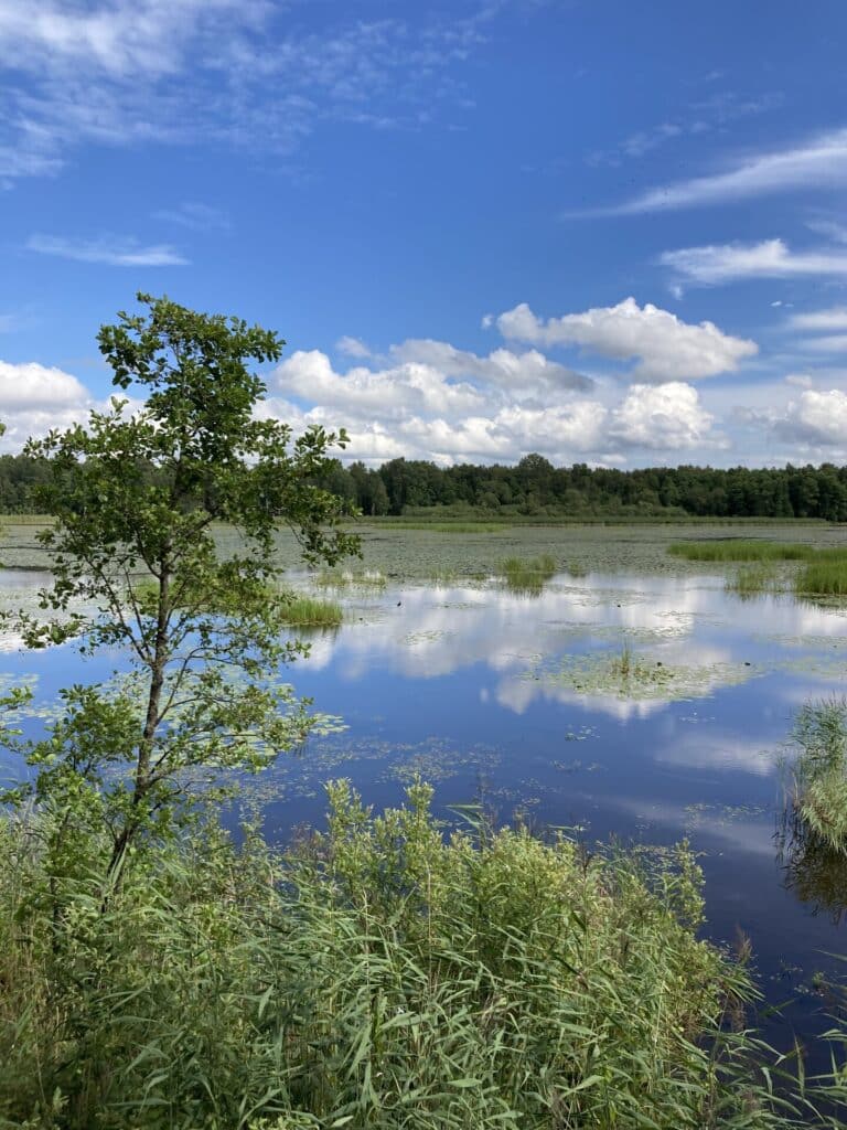 elistvere-study-trail-hiking-nature-family-animals-10