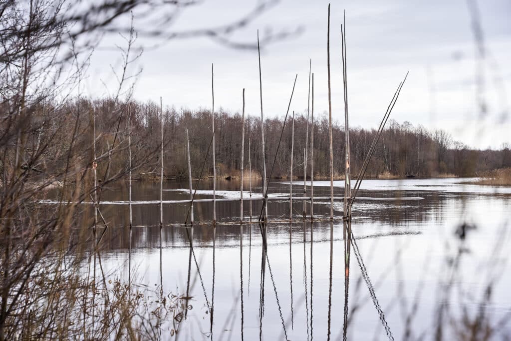 emajoe-opperada-014-visit-estonia