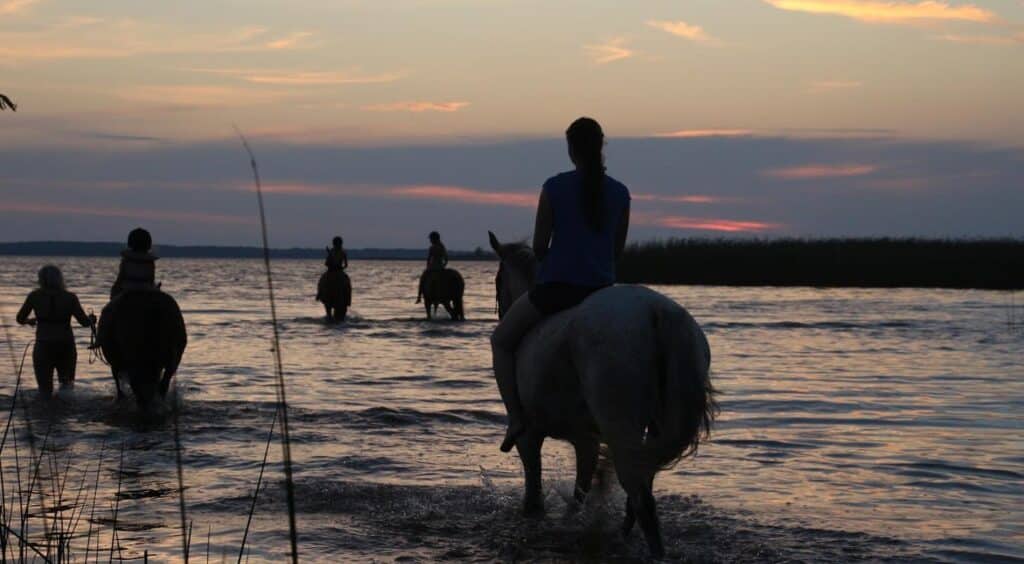 family-holiday-visit-estonia-riding_3939