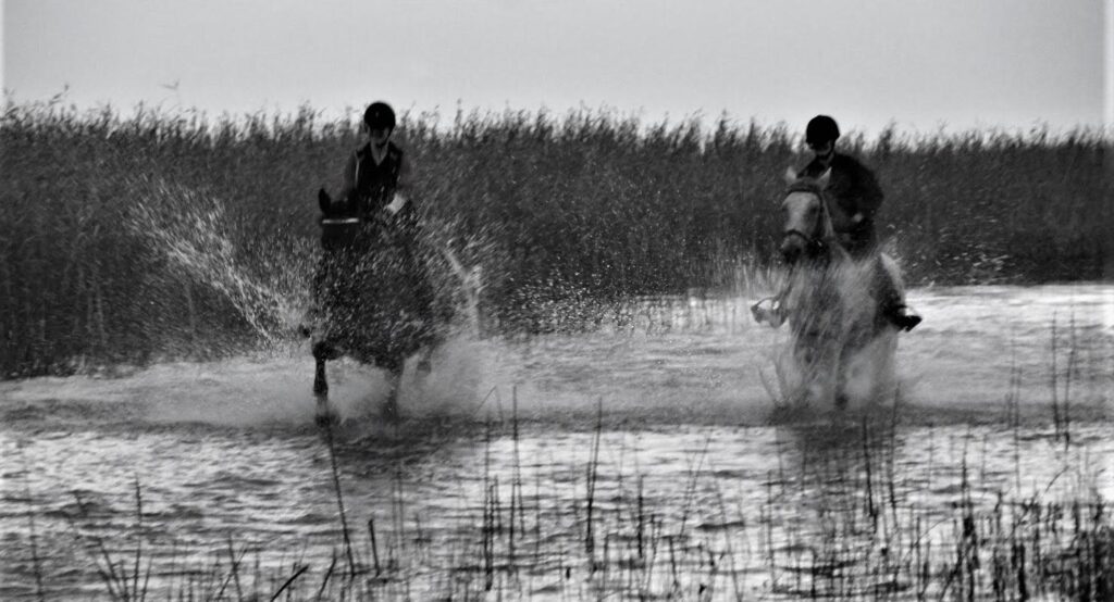 family-holiday-visit-estonia-riding_4584