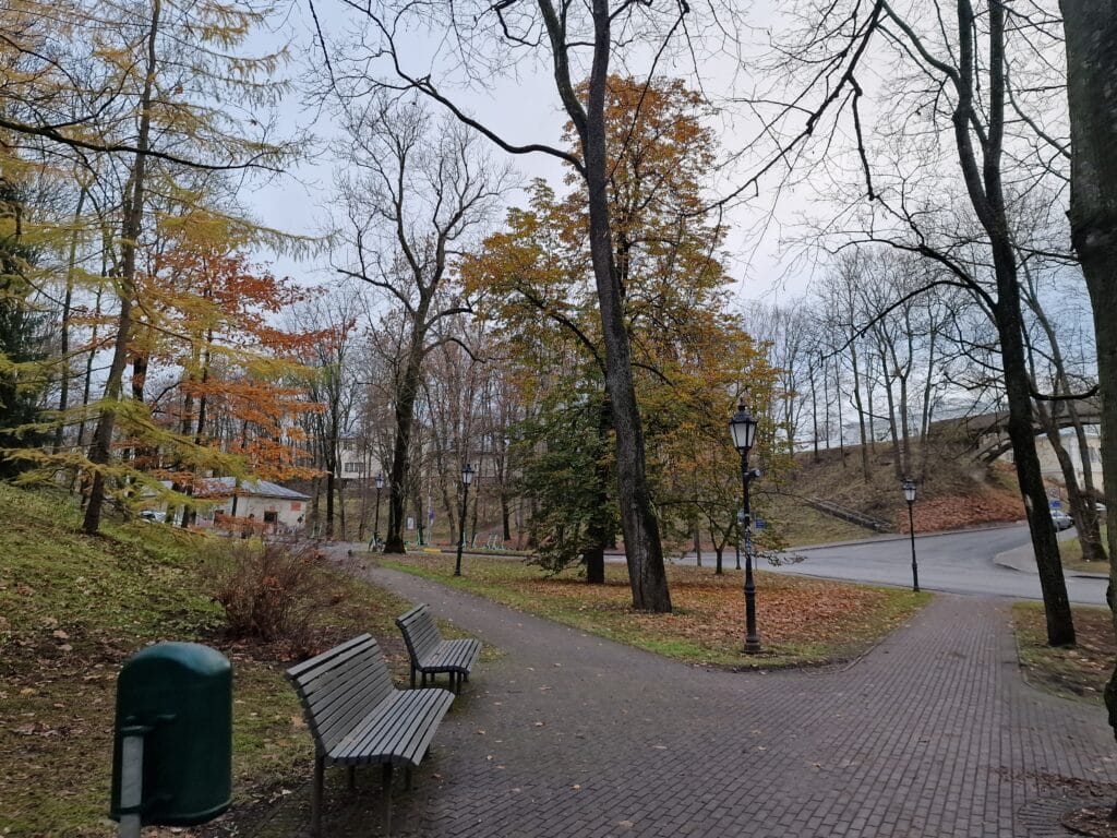 giidiga-jalutuskaik-hommikuses-tartus-005-visit-estonia