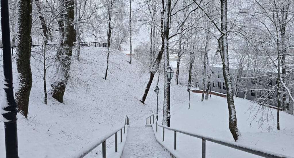 Snowy morning on Toomemäe