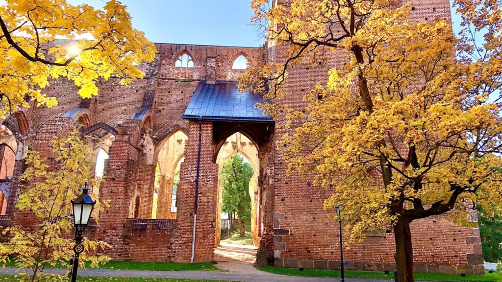 giidiga-jalutuskaik-hommikuses-tartus-012-visit-estonia