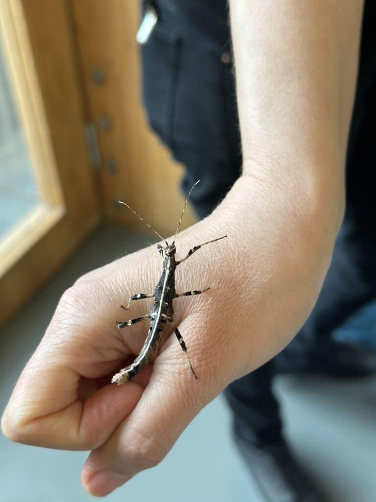 giidiga-tuur-tartu-loodusmajas-009-visit-estonia