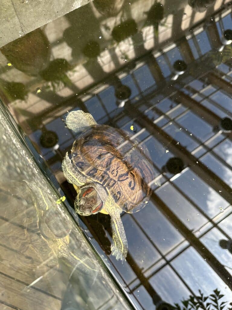 giidiga-tuur-tartu-loodusmajas-010-visit-estonia