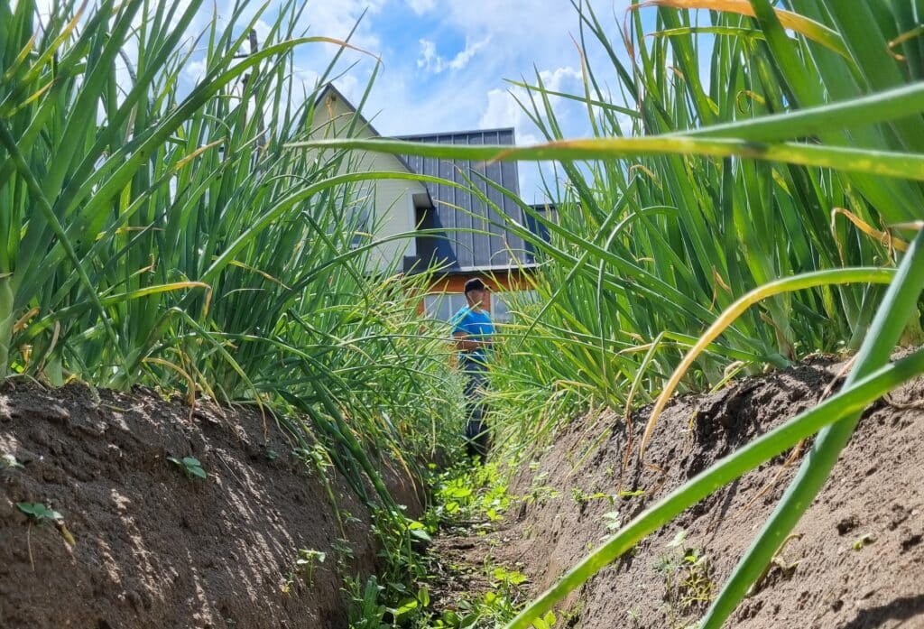 giidituur-paevareis-sibulateele-011-visit-estonia