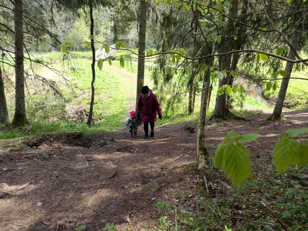 haldjarada-015-visit-estonia