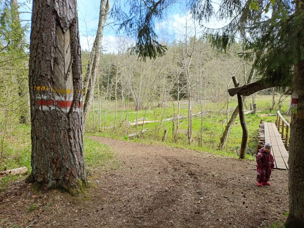 haldjarada-015-visit-estonia-2