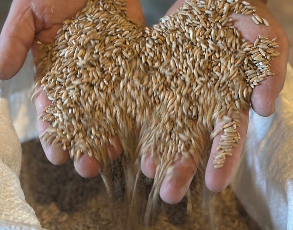 hellenurme-veskimuuseumi-elamusprogramm-veest-leivani-jahutegu-veskikojas-leivategu-leivakojas-010-visit-estonia