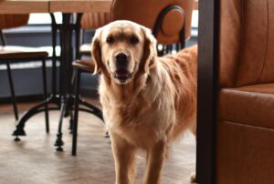 Humal BISTRO - Visit Tartu