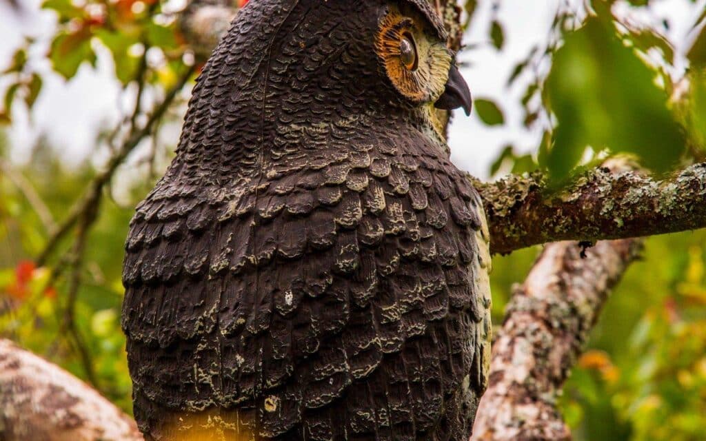 jarvemaja_sootamme-16