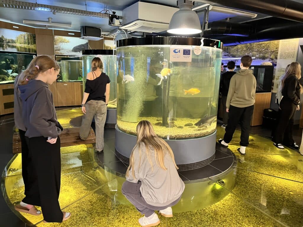 jarvemuuseum-022-visit-estonia