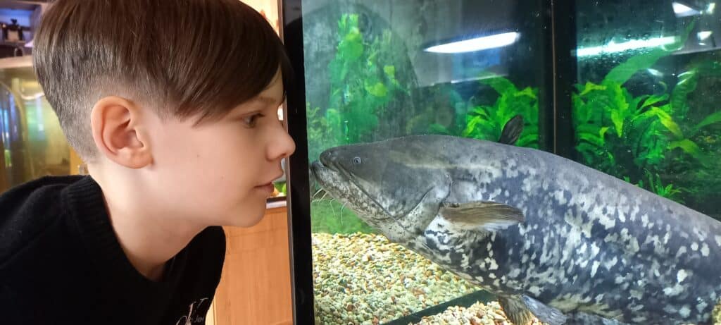 jarvemuuseum-026-visit-estonia